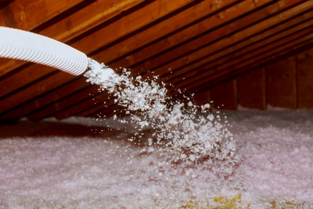 Best Soundproof Insulation Installation  in Porters Neck, NC