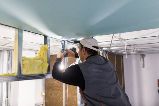 Best Commercial Insulation Contractor  in Porters Neck, NC