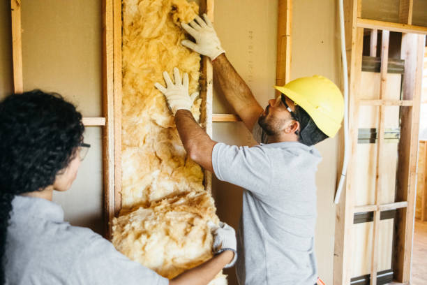 Best Affordable Insulation Services  in Porters Neck, NC