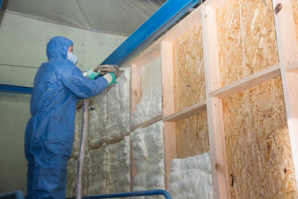 Best Energy-efficient Insulation  in Porters Neck, NC