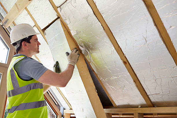 Best Insulation Inspection Services  in Porters Neck, NC
